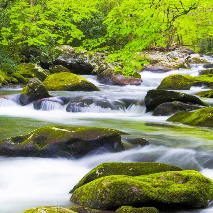 billboard-10-foggy-stream-in-mountain-forest